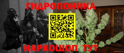 прущие грибы Ликино-Дулёво