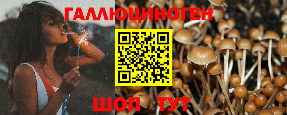Галлюциногенные грибы мицелий  Вход с VPN  Ишим 