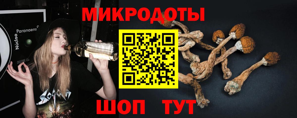 Псилоцибиновые грибы прущие грибы Ишим